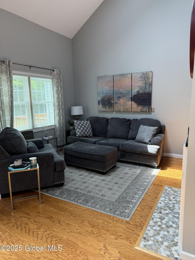 7048 Suzanne Ln, Guilderland, NY 12303 - living room featuring wood finished floors and high vaulted ceiling
