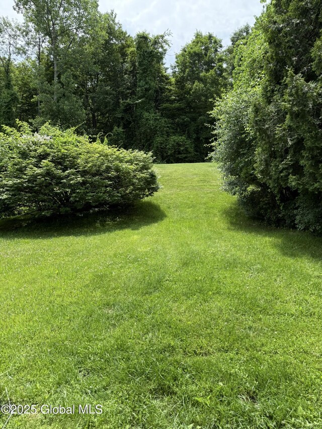 7048 Suzanne Ln, Guilderland, NY 12303 - view of green lawn