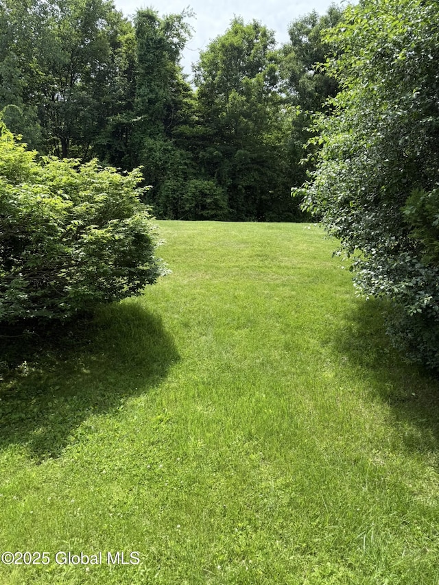 7048 Suzanne Ln, Guilderland, NY 12303 - view of grassy yard