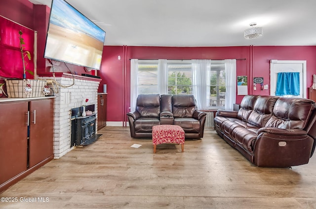 134 Whitehall Rd, Albany, NY 12209 - living room featuring light wood-type flooring and a fireplace