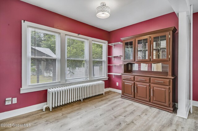 134 Whitehall Rd, Albany, NY 12209 - dining area with radiator and light wood-type flooring