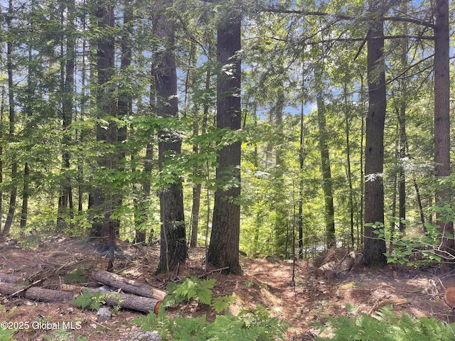40 Field Rd N, Chester, NY 12853 - photo 35