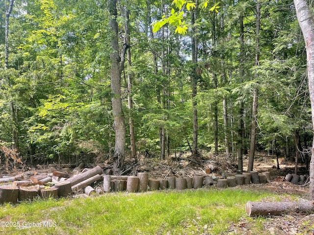 40 Field Rd N, Chester, NY 12853 - photo 10