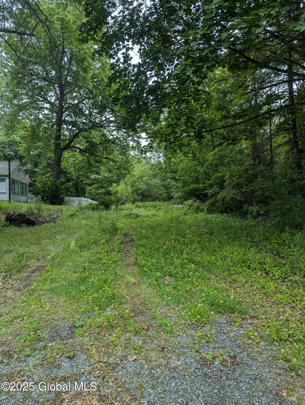 L39 New Scotland Rd S, New Scotland, NY 12159