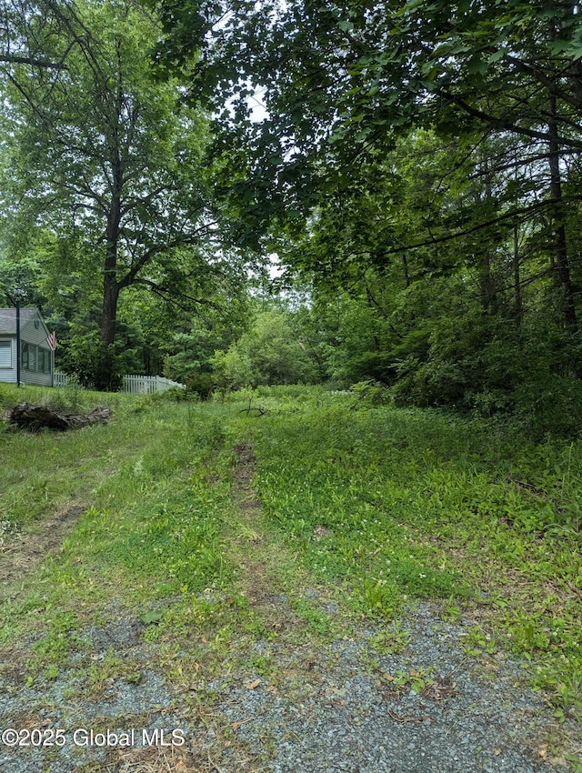 L39 New Scotland Rd S, New Scotland, NY 12159