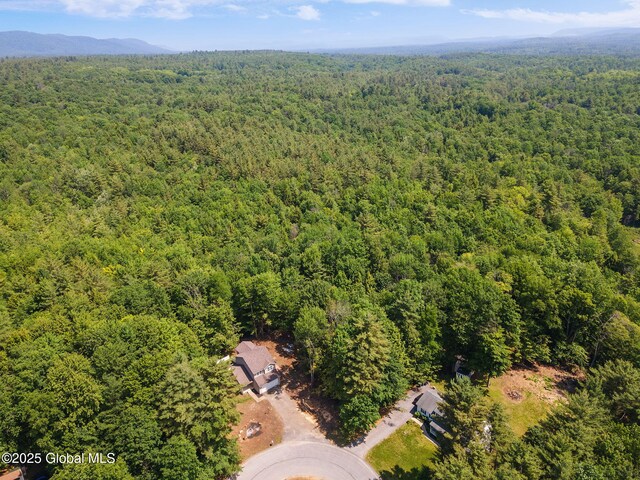 26 Mia Way, Porter Corner, Greenfield, NY 12859 - photo 46