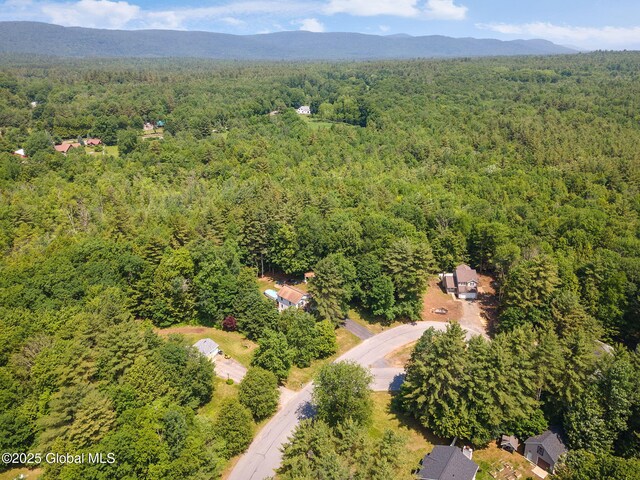 26 Mia Way, Porter Corner, Greenfield, NY 12859 - photo 47