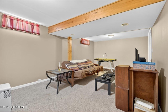 303 E Washington Ave, Rensselaer, NY 12144 - carpeted living area with baseboards
