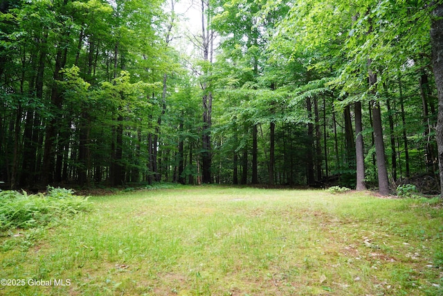 177 Lake Lorraine Way, Pittstown, NY 12090 - photo 19