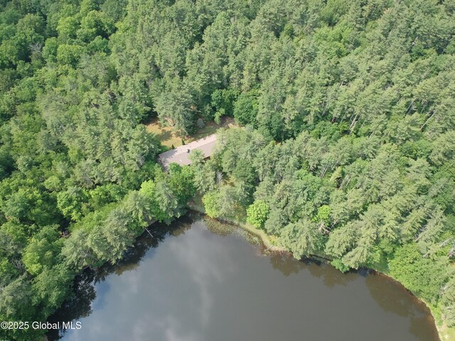 177 Lake Lorraine Way, Pittstown, NY 12090 - photo 16