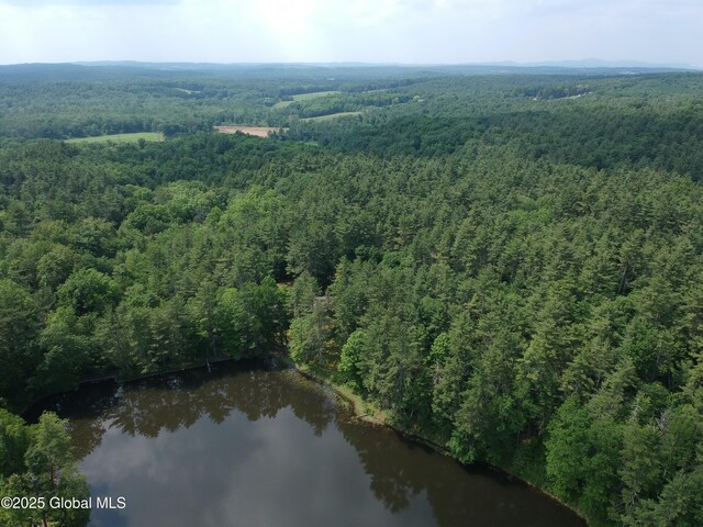 177 Lake Lorraine Way, Pittstown, NY 12090 - photo 17