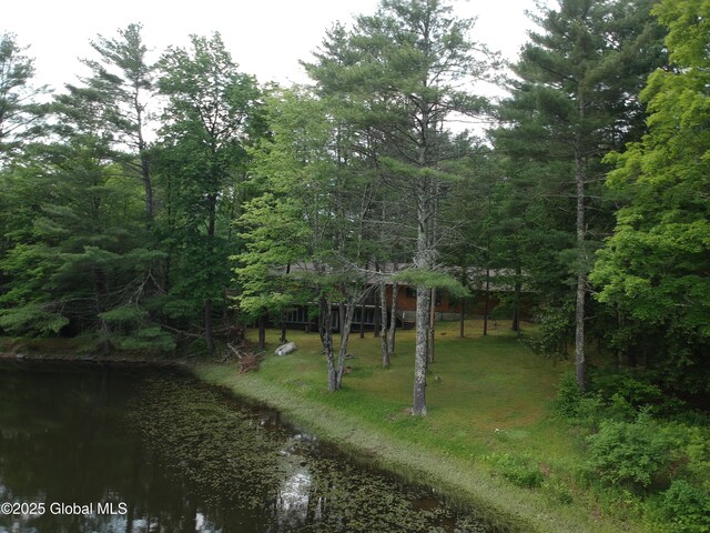 177 Lake Lorraine Way, Pittstown, NY 12090 - photo 18