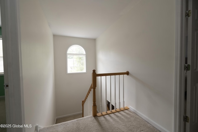 22 Santee Dr, Wilton, NY 12831 - stairs with carpet flooring and baseboards