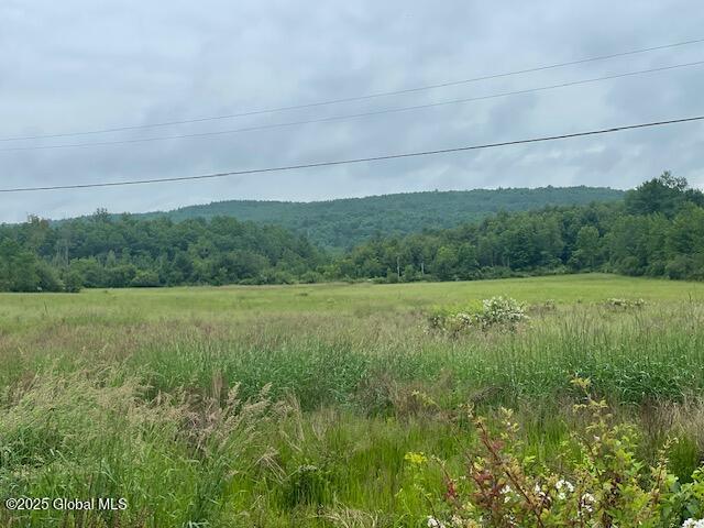 351 Hunt Rd, Pittstown, NY 12028 - photo 6