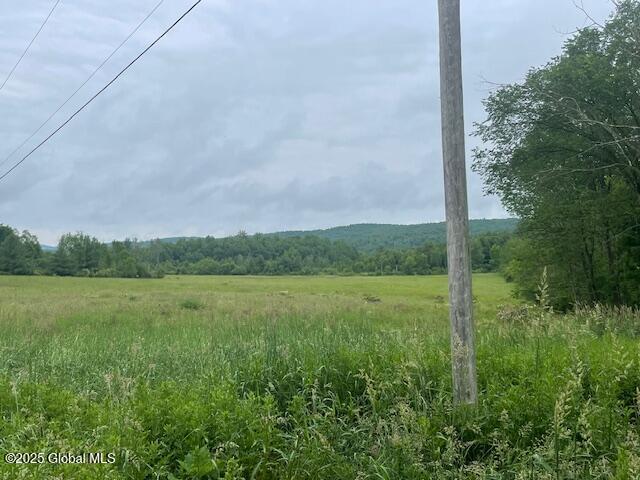 351 Hunt Rd, Pittstown, NY 12028 - photo 7