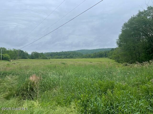 351 Hunt Rd, Pittstown, NY 12028 - photo 3