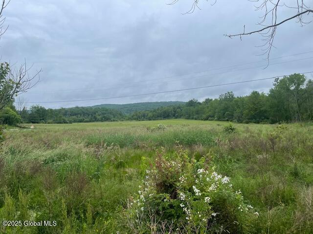 351 Hunt Rd, Pittstown, NY 12028 - photo 10