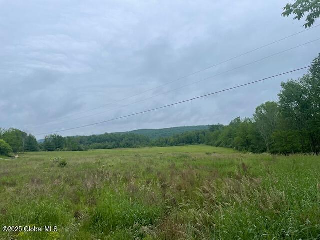 351 Hunt Rd, Pittstown, NY 12028 - photo 9