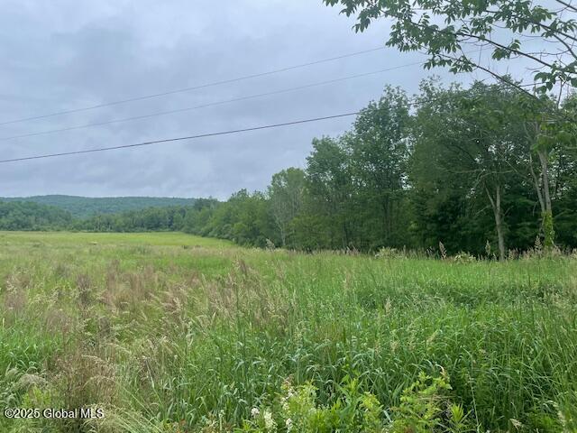 351 Hunt Rd, Pittstown, NY 12028 - photo 1