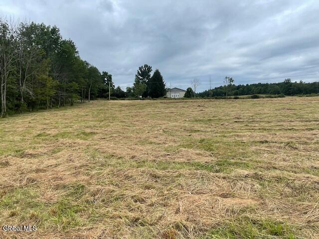 351 Hunt Rd, Pittstown, NY 12028 - photo 14