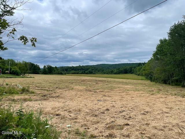 351 Hunt Rd, Pittstown, NY 12028 - photo 18