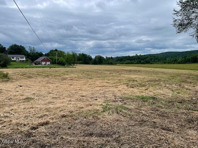 351 Hunt Rd, Pittstown, NY 12028 - photo 5