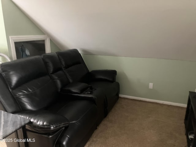 185 Butler St, Schenectady, NY 12303 - cinema featuring vaulted ceiling and carpet