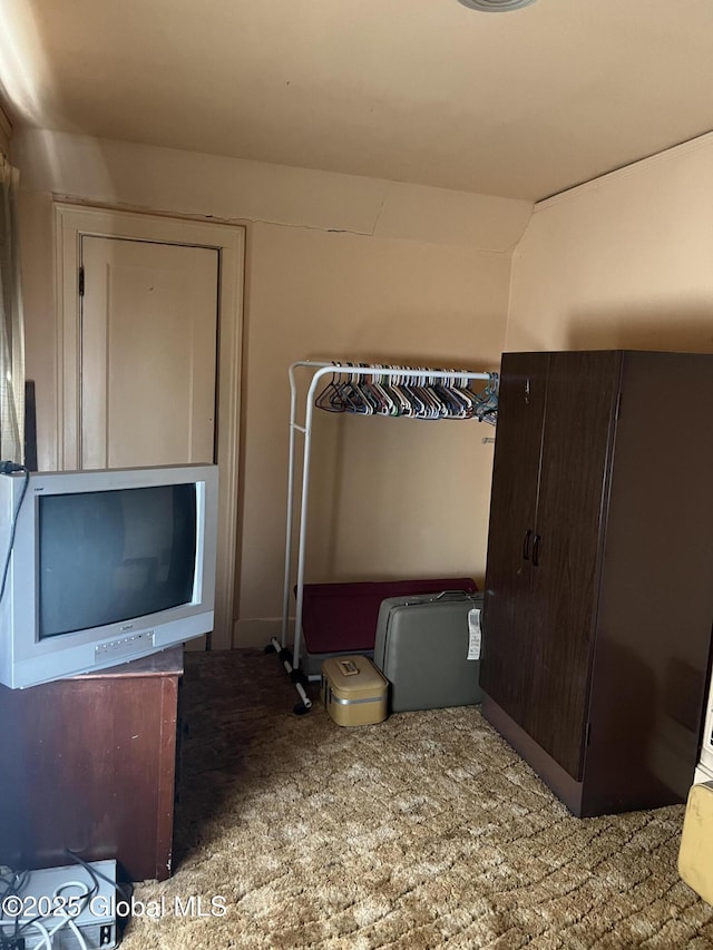 13 Wheeler, Canajoharie Village, NY 13317 - unfurnished bedroom with carpet flooring and vaulted ceiling