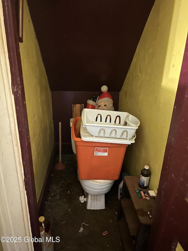 13 Wheeler, Canajoharie Village, NY 13317 - bathroom with toilet and lofted ceiling