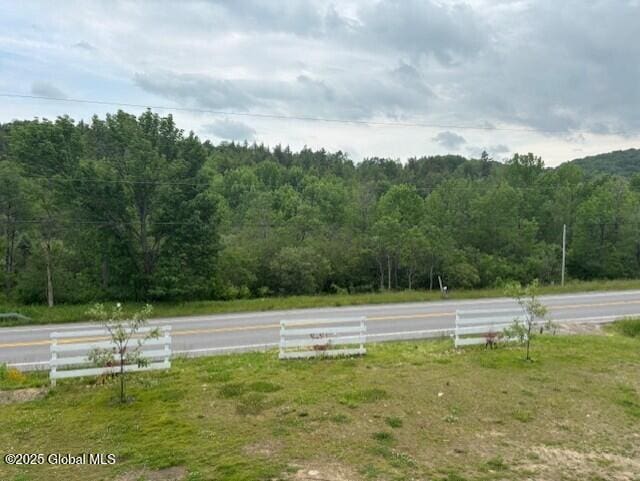 600 State Highway 309, Gloversville, NY 12078 - view of yard featuring a view of trees