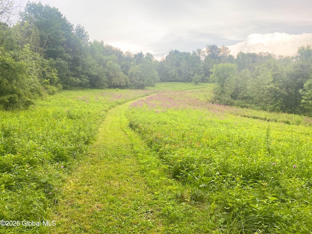 797 Western Rd, Schodack, NY 12033 - photo 44