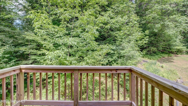 260 Old Northville Rd, Hope, NY 12134 - photo 28