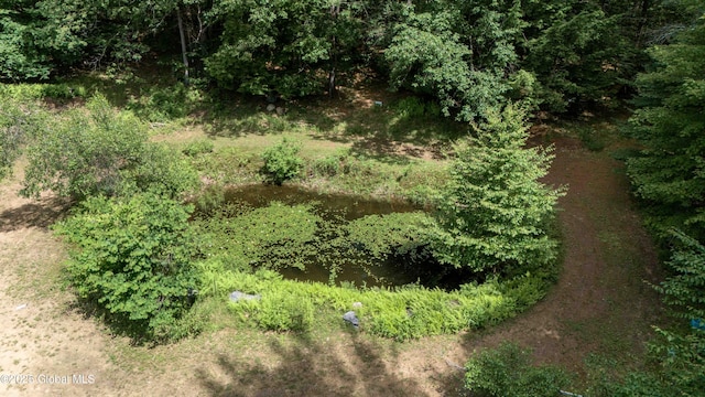 260 Old Northville Rd, Hope, NY 12134 - photo 63