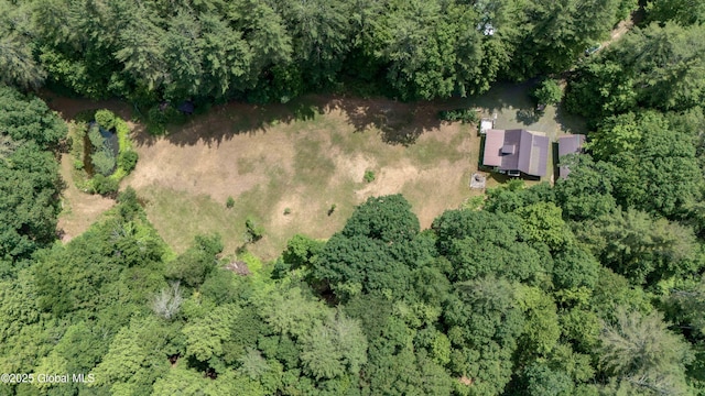 260 Old Northville Rd, Hope, NY 12134 - photo 70