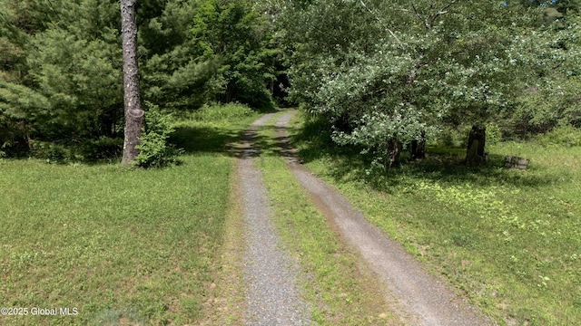 260 Old Northville Rd, Hope, NY 12134 - photo 77