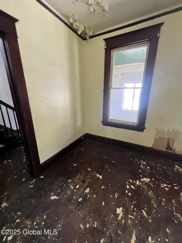 144 S Hawk St, Albany, NY 12202 - photo 5
