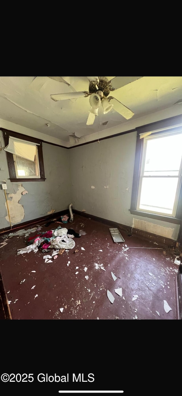144 S Hawk St, Albany, NY 12202 - photo 8