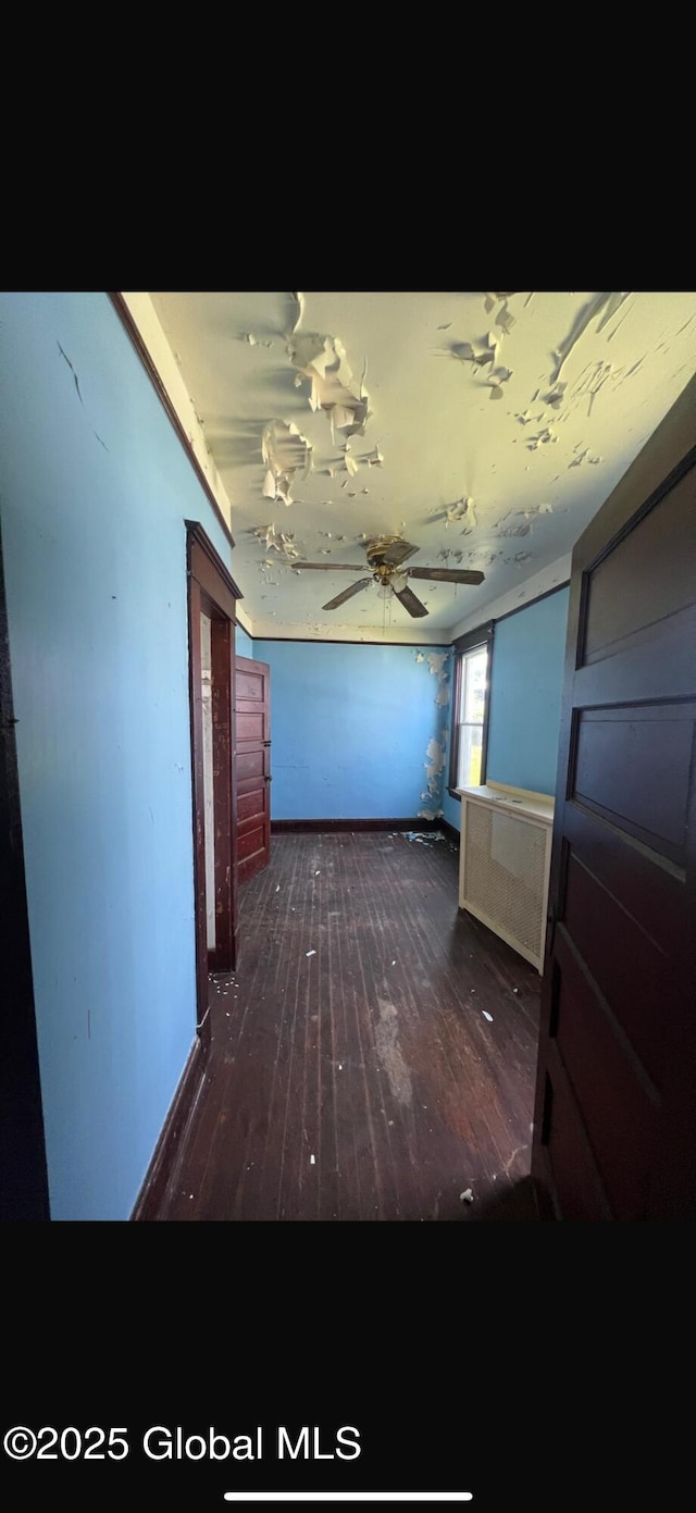 144 S Hawk St, Albany, NY 12202 - photo 13