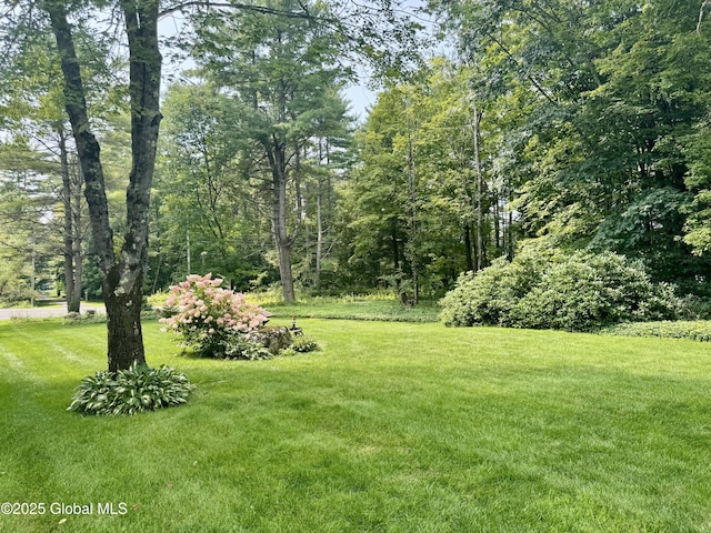 1876 Call St, Lake Luzerne, NY 12846 - photo 26