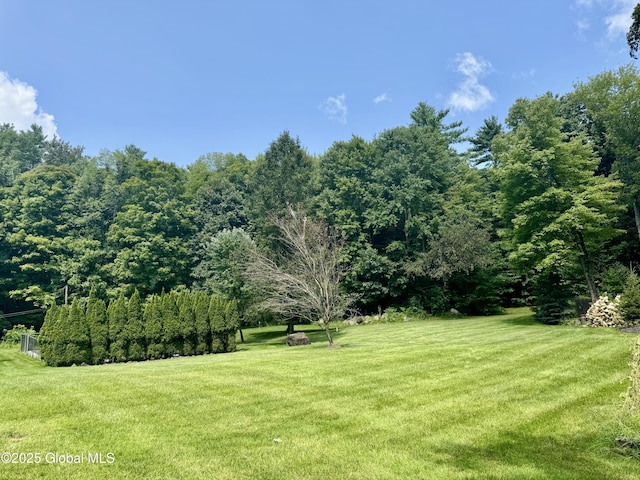 1876 Call St, Lake Luzerne, NY 12846 - photo 31