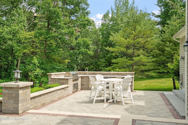 428 Ridgehill Rd, Guilderland, NY 12303 - view of patio / terrace featuring area for grilling and outdoor dining space