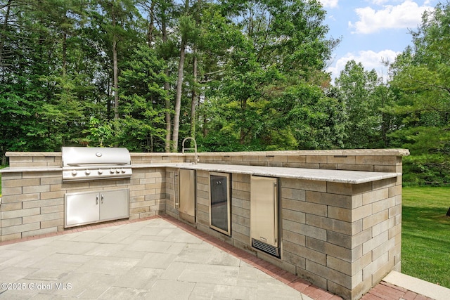 428 Ridgehill Rd, Guilderland, NY 12303 - view of patio with an outdoor kitchen and beverage cooler