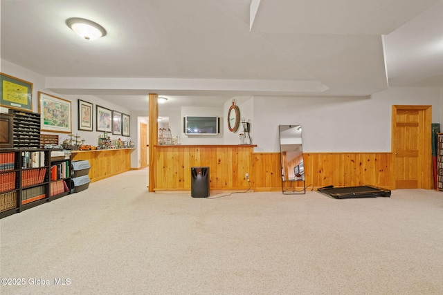 428 Ridgehill Rd, Guilderland, NY 12303 - finished basement with carpet floors, a wainscoted wall, and wooden walls