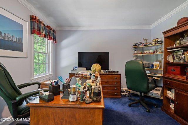 428 Ridgehill Rd, Guilderland, NY 12303 - office with crown molding and dark carpet