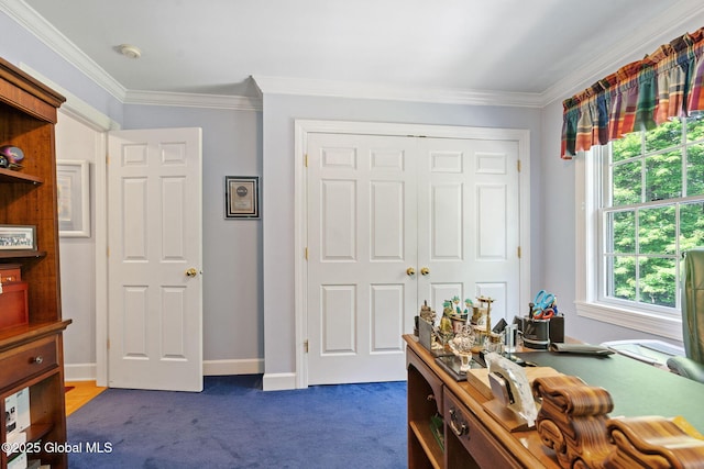 428 Ridgehill Rd, Guilderland, NY 12303 - office area featuring crown molding, dark colored carpet, and healthy amount of natural light