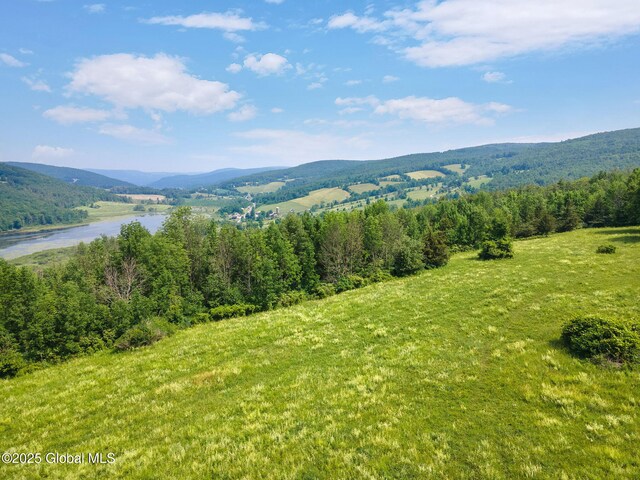 197 Earles Rd, Broome, NY 12122 - photo 69
