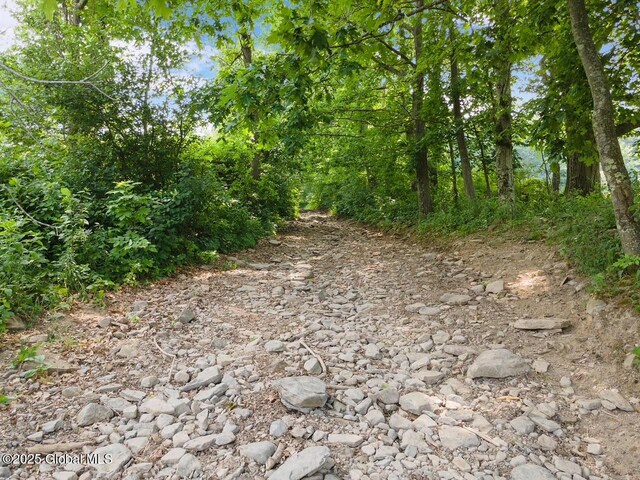 197 Earles Rd, Broome, NY 12122 - photo 70