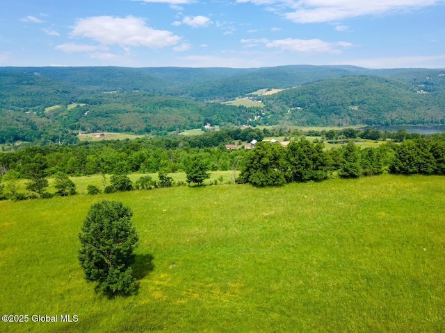 197 Earles Rd, Broome, NY 12122 - photo 71