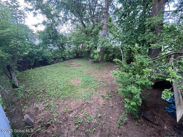 27 Emery Ave, Colonie, NY 12205 - view of yard