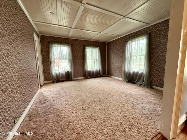252 Main St, Hudson Falls, NY 12839 - empty room featuring healthy amount of natural light, wooden ceiling, and carpet